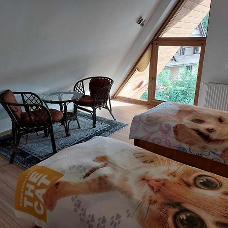 Apartamenty Cede Zakopane Exterior foto